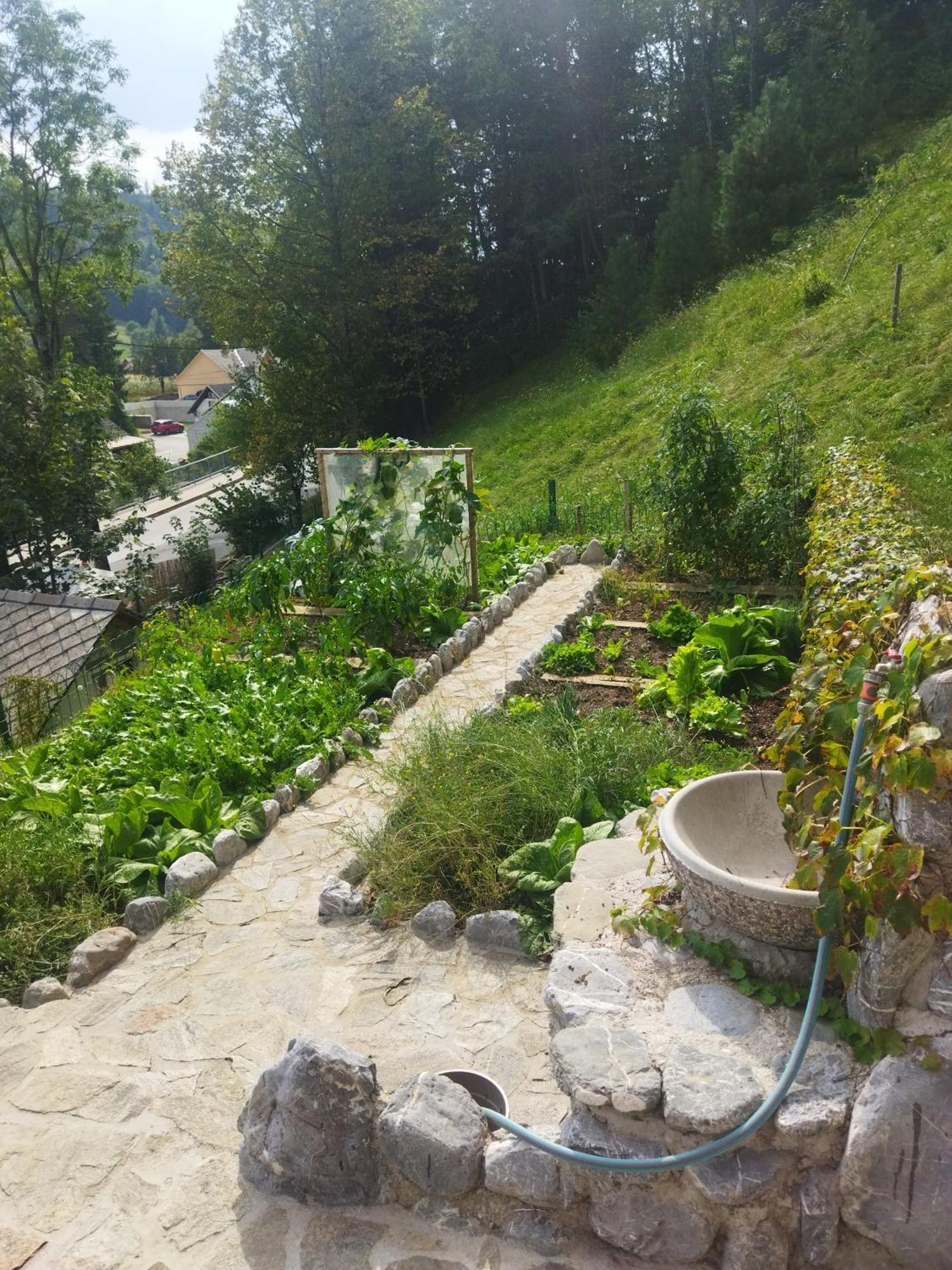 Natur Apartma Rudi 贝古耶·纳·格伦奇克 外观 照片